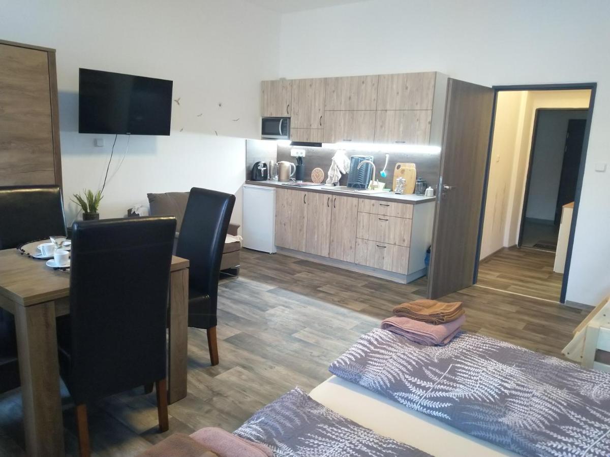 Apartmany Nezarka A Privatni Wellness Jindrichuv Hradec Exterior photo