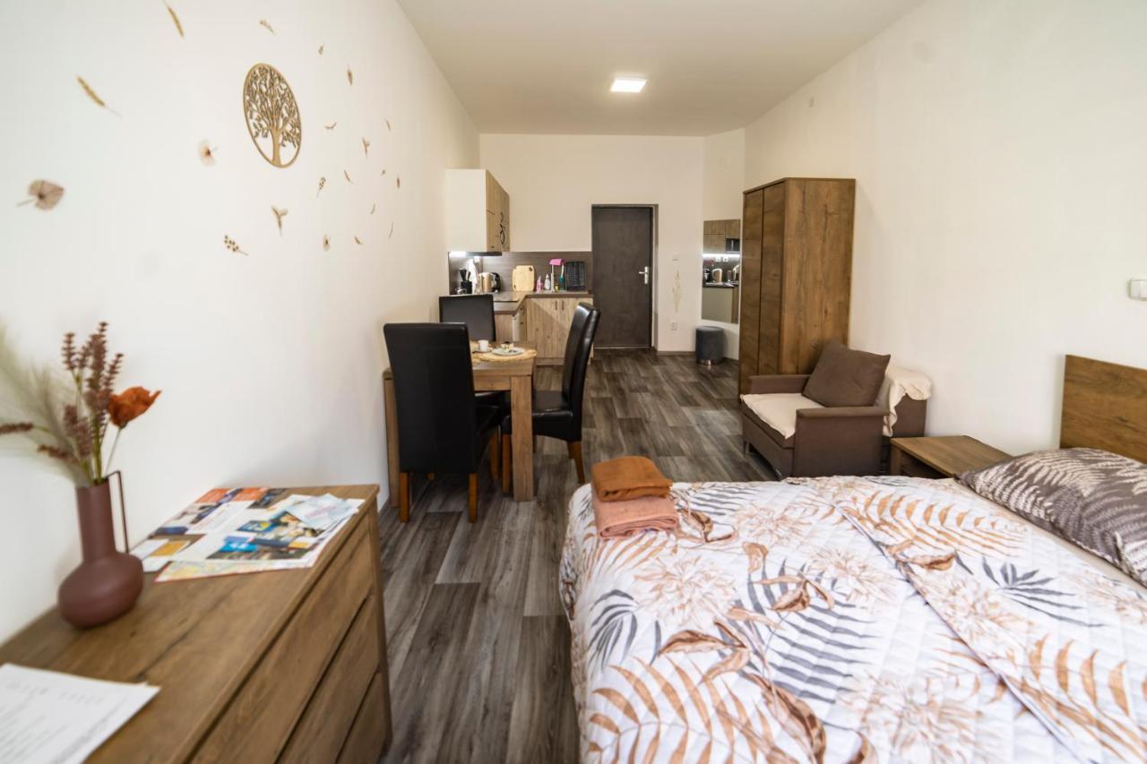Apartmany Nezarka A Privatni Wellness Jindrichuv Hradec Exterior photo