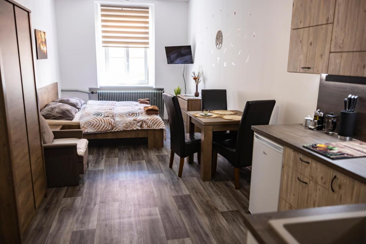 Apartmany Nezarka A Privatni Wellness Jindrichuv Hradec Exterior photo